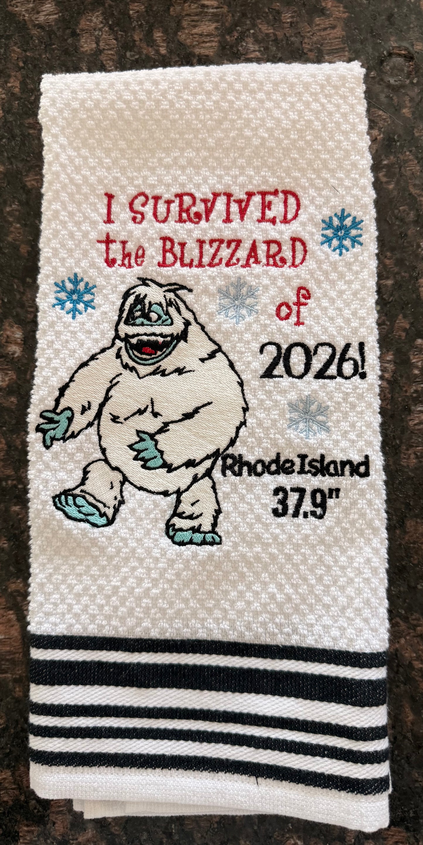 I Survived Blizzard of ‘26!