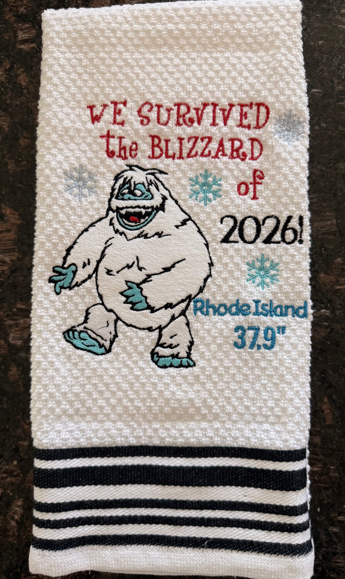 We Survived the Blizzard of ‘26