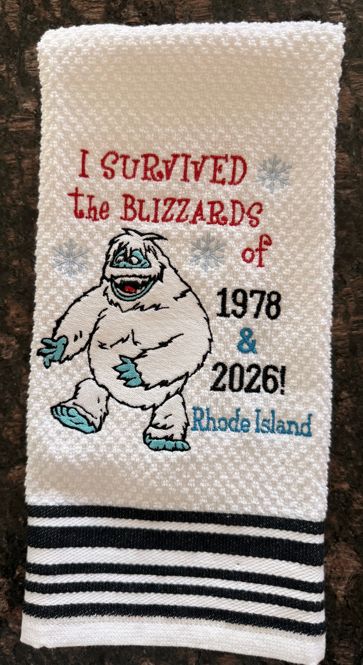 I Survived the Blizzards of ‘78 and ‘26!
