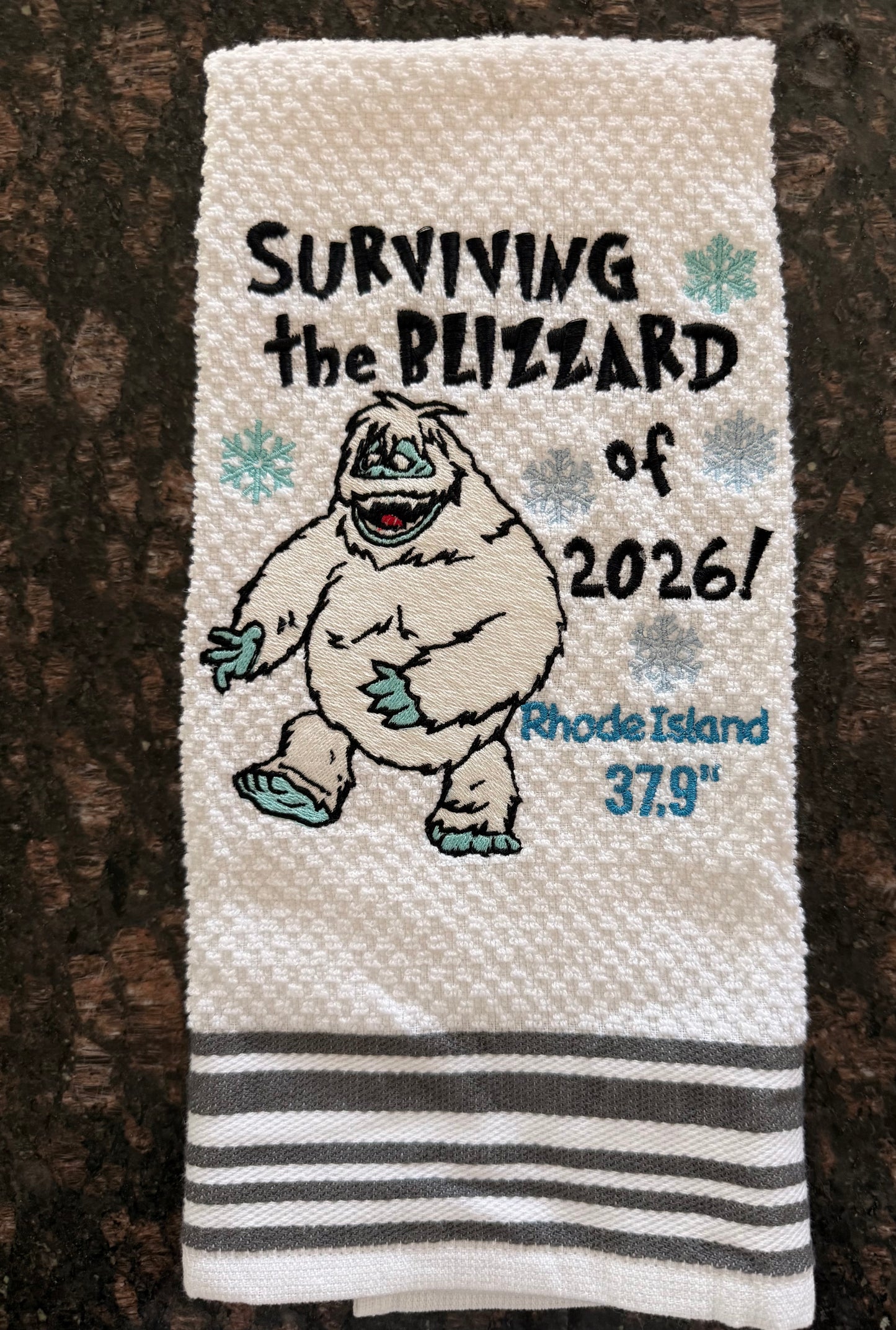 Surviving the Blizzard of ‘26!