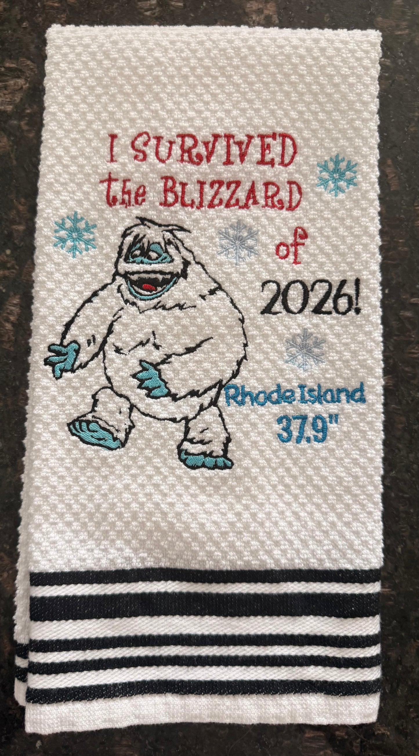 I Survived Blizzard of ‘26!