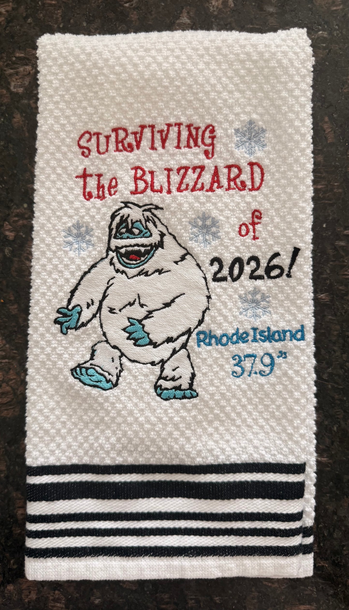 Surviving the Blizzard of ‘26!